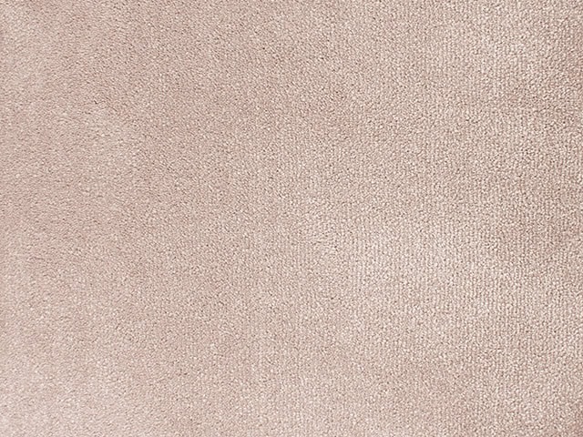 ITC - Cannes - 150112 - Carpet