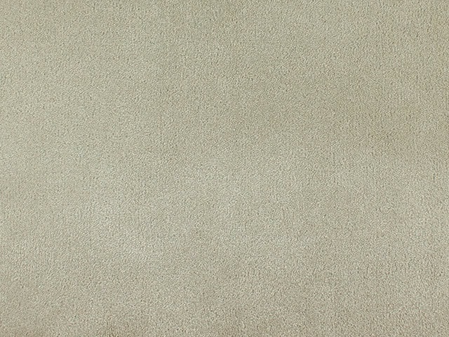 ITC - Cannes - 150113 - Carpet