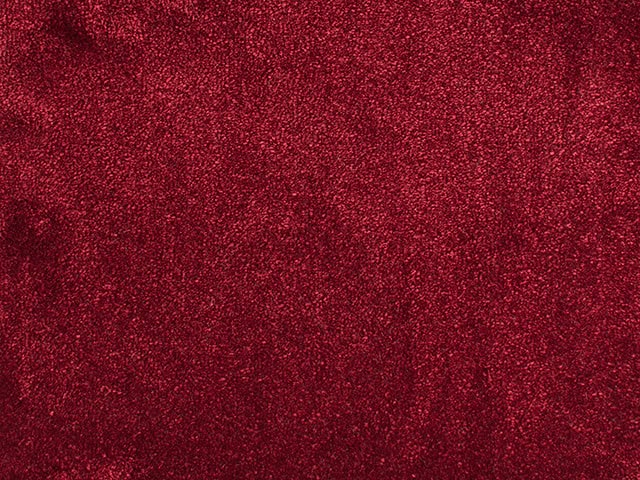 ITC - Cannes - 150236 - Carpet