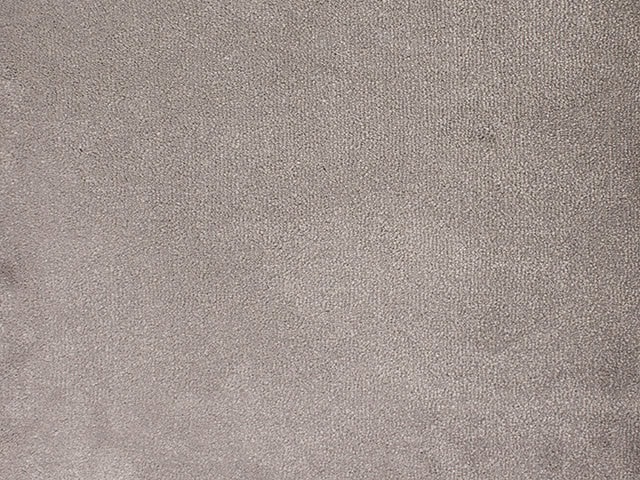 ITC - Cannes - 150305 - Carpet