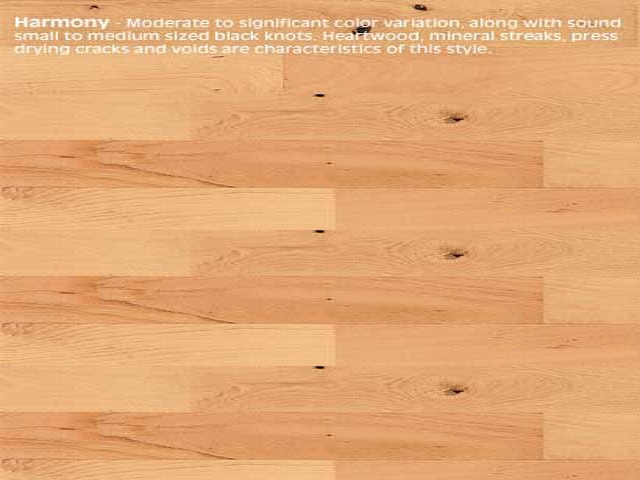 Junckers Beech Harmony - Wood Flooring