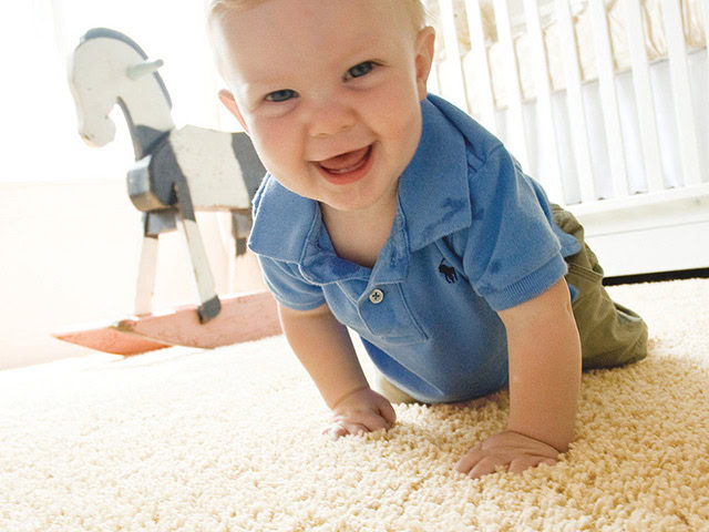 Lano Carpet - Luxury We - Carpet