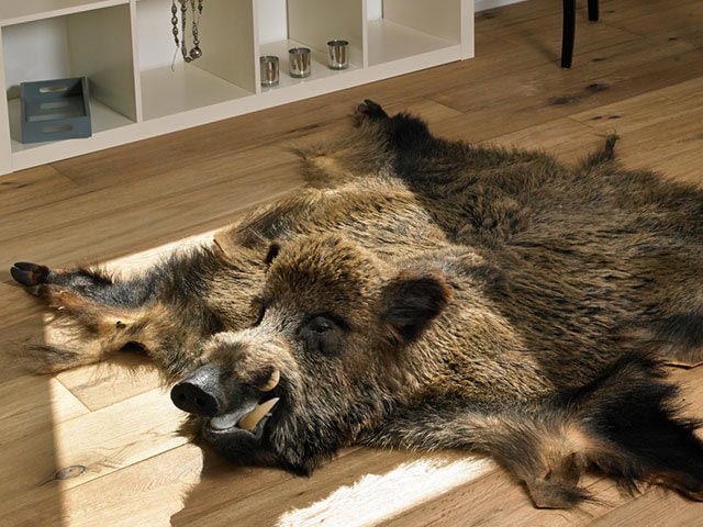 Lionvest Trading - Wood Flooring 42060 - Wood Flooring
