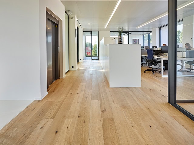 Lionvest Trading - Lalegno - Pinot Gris - Wood Flooring