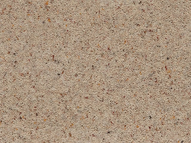 Mr Tomkinson - Cotswold Deluxe - Carpet