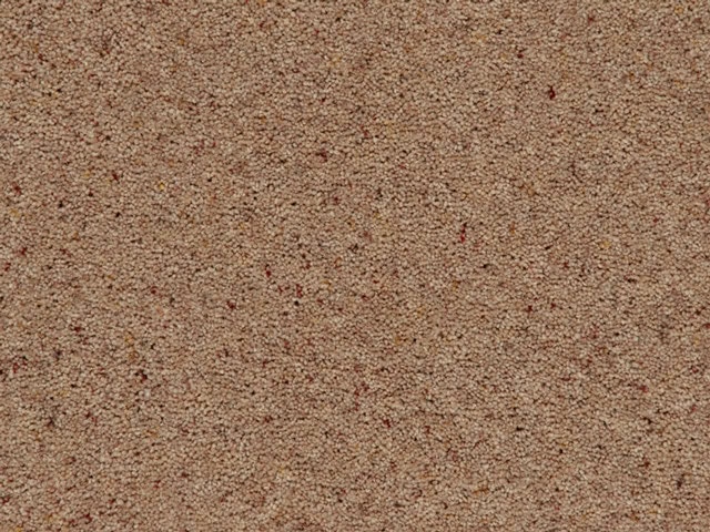Mr Tomkinson - Tomkinson Berber Elite - Carpet