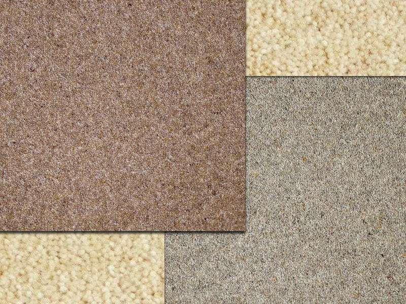 Victoria Carpets Options 288 Heathers - Carpet