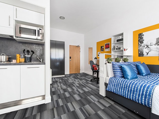 Paragon - Diversity Groove - Carpet