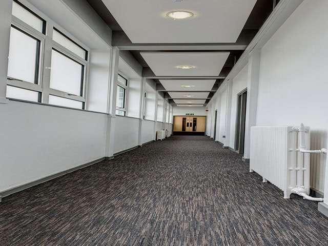 Paragon Flooring - Workspace Linear - Carpet