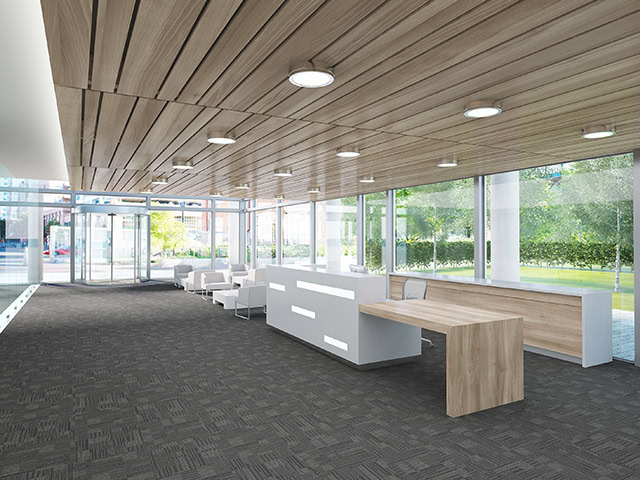Quadrant Carpets - Dark Horse QT - Carpet