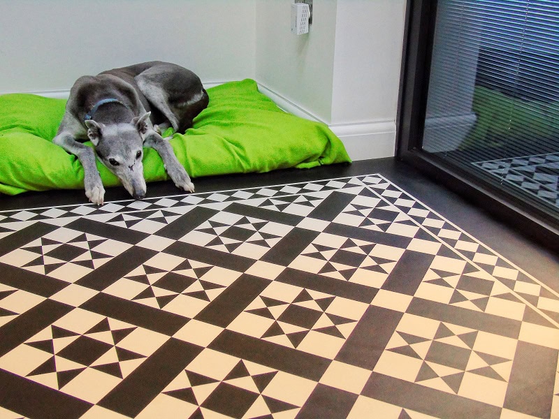 Marmoleum RD101 - 70mm Paired With RDB205 Borders and Corners - Marmoleum Flooring