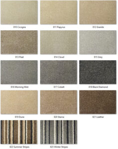 Everything You Need to Know About Saxony Carpets - Carpet
