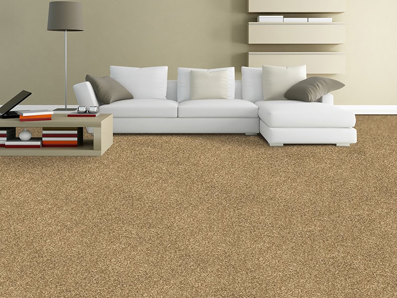 Regency Carpets - Carefree - Chiltern Heathers - Carpet