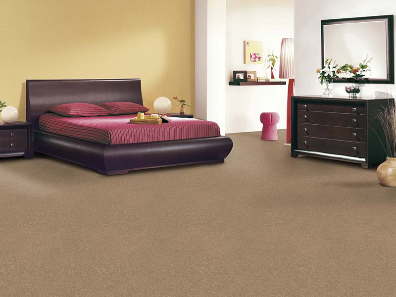 Regency Carpets - Carefree - Harewood - Carpet - Wood Flooring