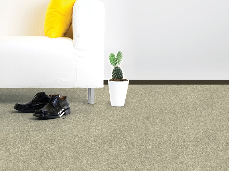 Regency Carpets - Carefree - Royale Saxony - Carpet