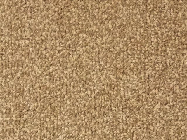 Regency Carpets - Celebration - Carpet