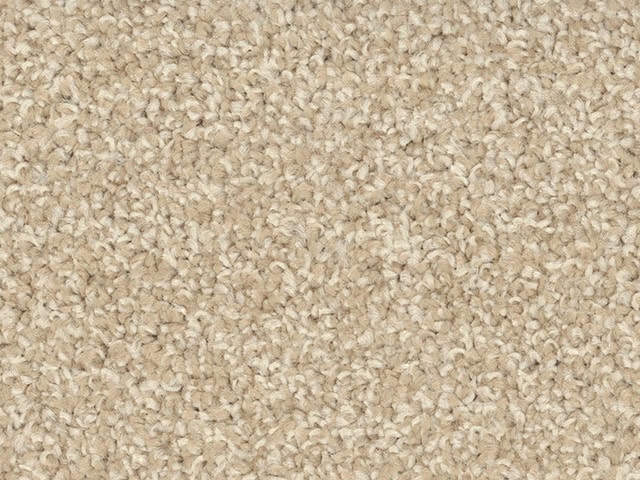 Regency Carpets - Devotion - Carpet