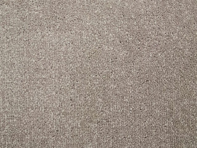 Regency Carpets - Harewood - Carpet - Wood Flooring