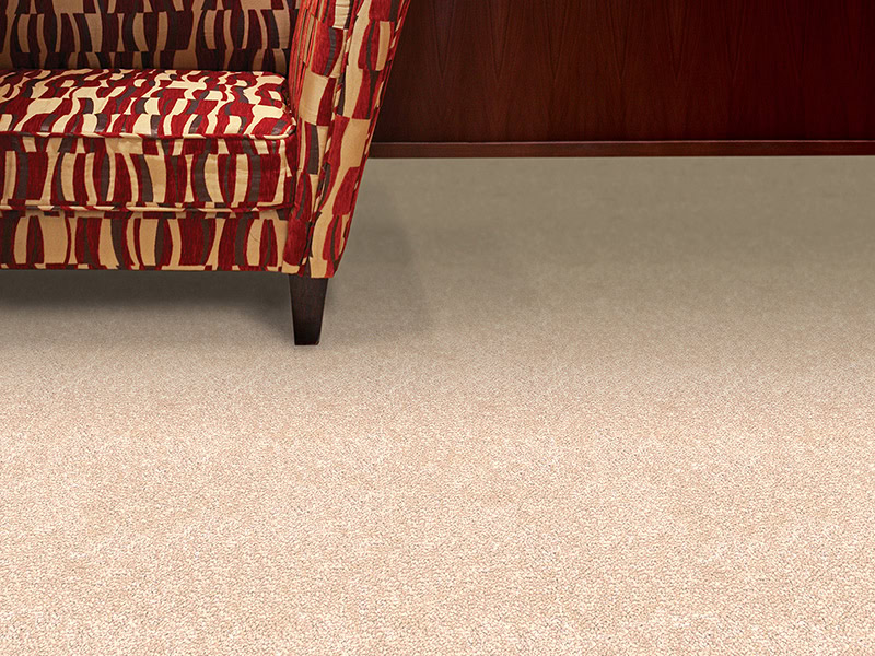 Regency Carpets - Prestige - Trident Highlights - Carpet