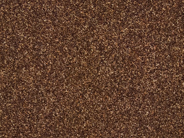 Regency Carpets - Rapsody - Carpet