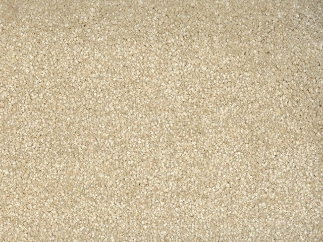 Regency Carpets - Trident - Carpet