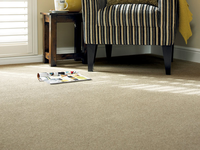 Victoria Carpets - Simply Heathers - Carpet