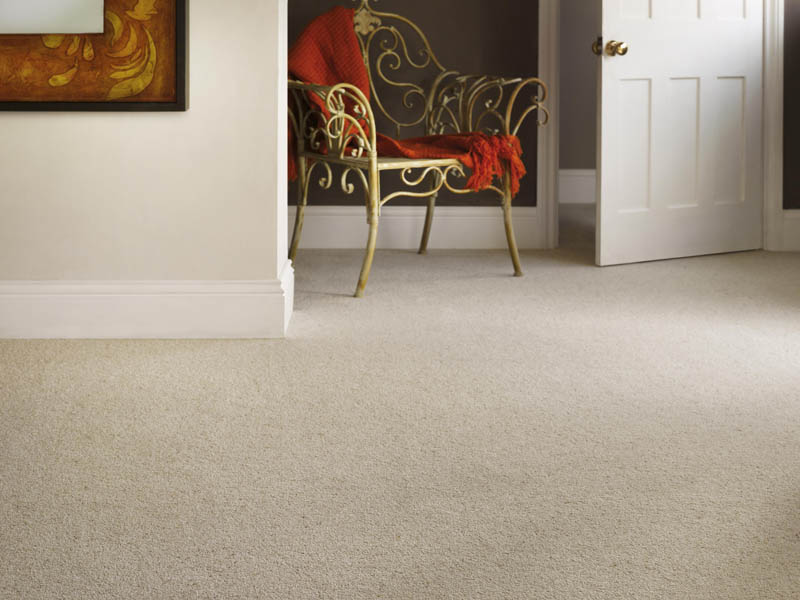 Thomas Witter - Accolade - Carpet