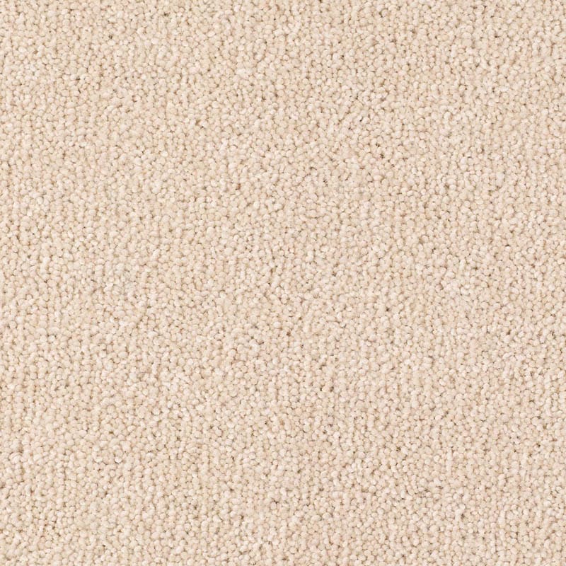 Thomas Witter - Discovery Twist - Carpet