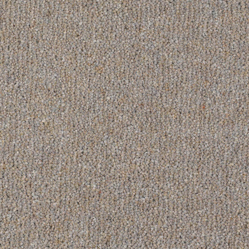 Thomas Witter - Empire Twist - Carpet