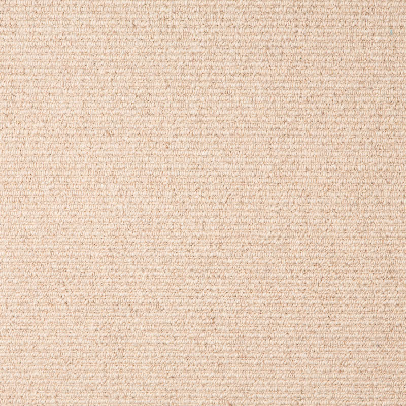 Thomas Witter - Natural Habitat - Carpet