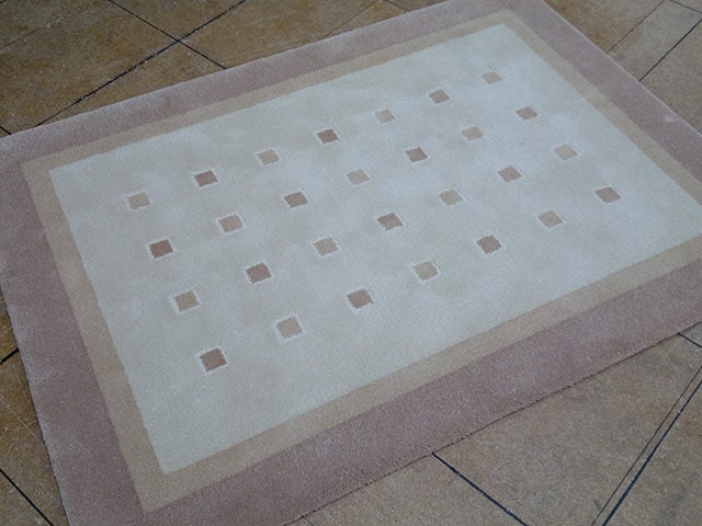 Trendy Tuft Carpets - 060320141546 - Carpet