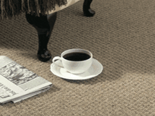Woodward Grosvenor - Sirocco - Carpet - Wood Flooring