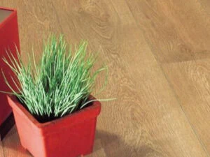 XYLO Laminates Cottage BECTVAOA43Z Matlook Valley Oak - Wood Flooring