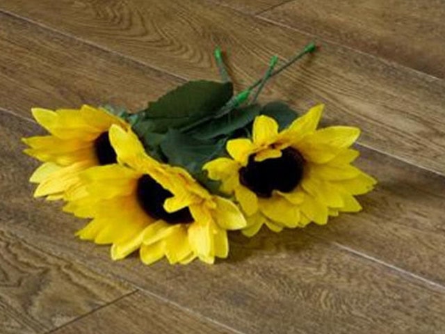 XYLO X - Treme Oak X - Treme D0034 1 Strip Oak Rustic - Wood Flooring