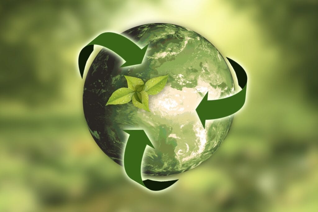The Sustainability Guide to Environmentally-Friendly Flooring Materials - Cork Flooring - Porcelain Tile Flooring - Wood Flooring