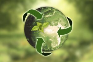 The Sustainability Guide to Environmentally-Friendly Flooring Materials - Cork Flooring - Porcelain Tile Flooring - Wood Flooring