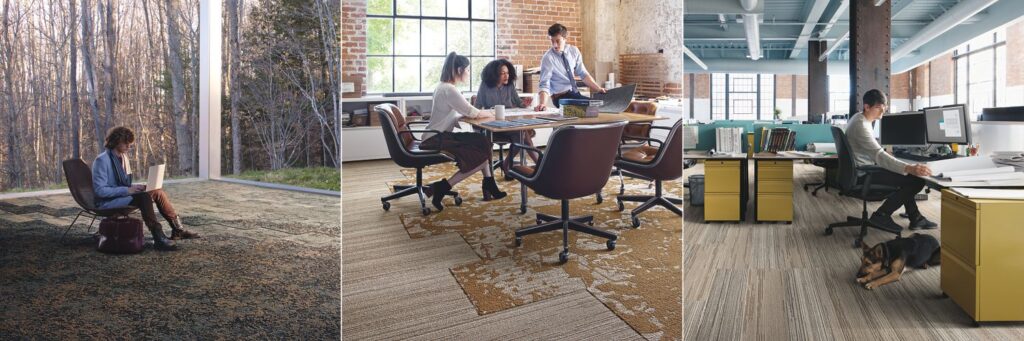 '+Positive Spaces™ for Better Products, Happier People & Healthier Planet - Carpet