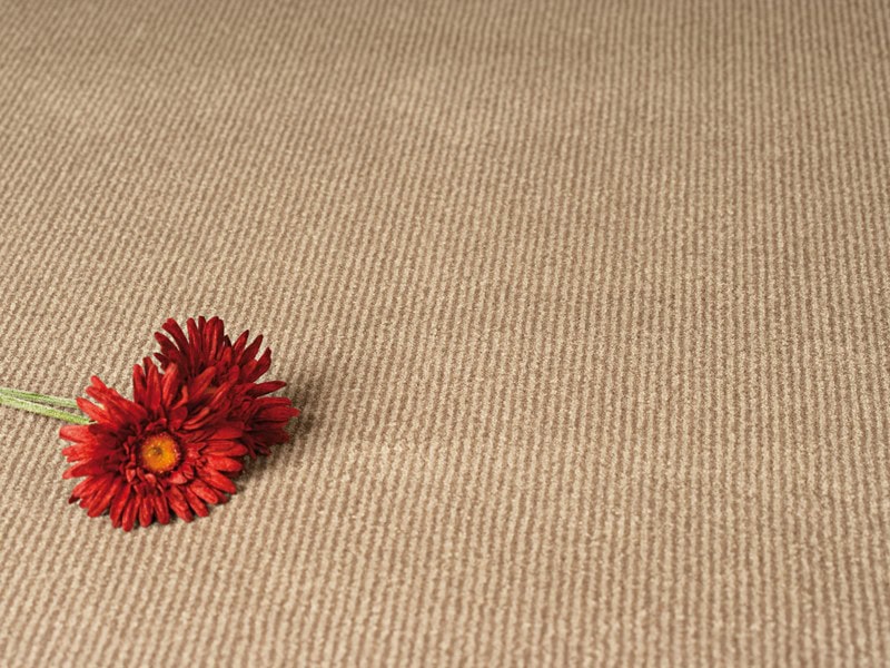 Westex Carpets – 002 - Carpet