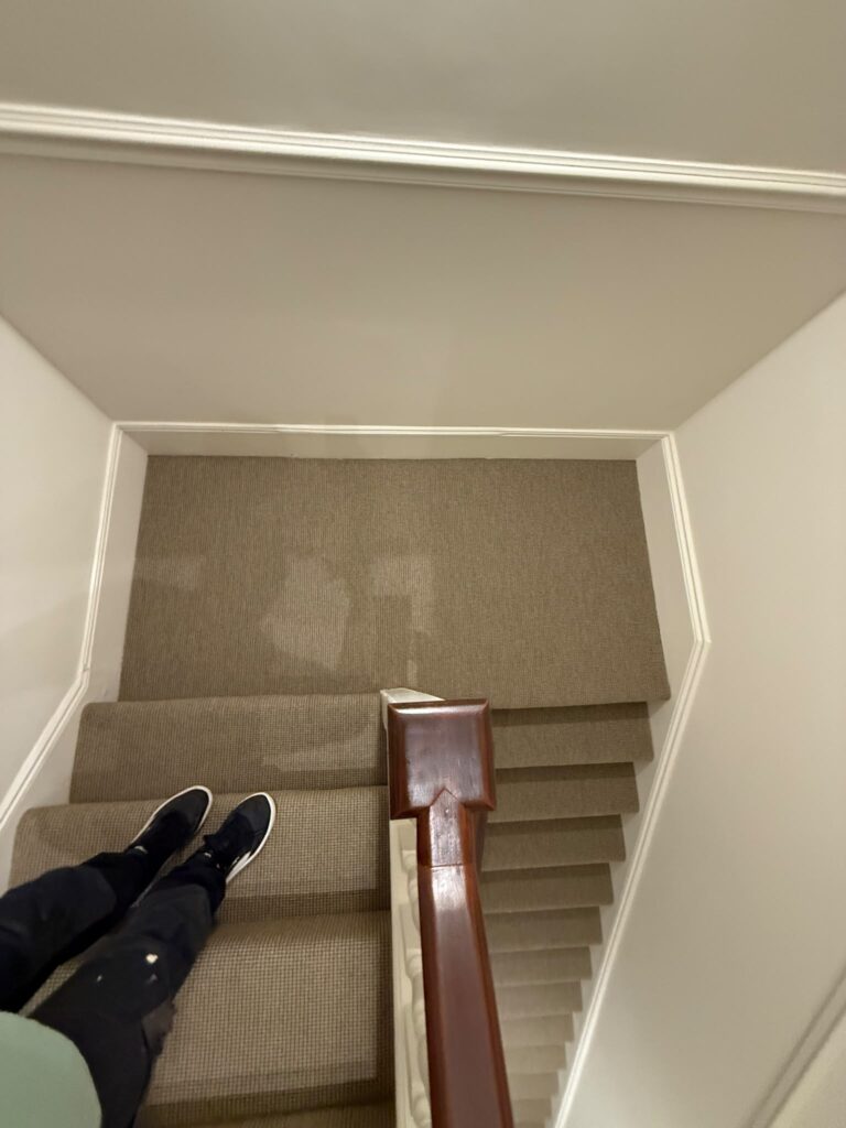 Lewis Abbott Paradise Sisal Carpet Installation in Balham
