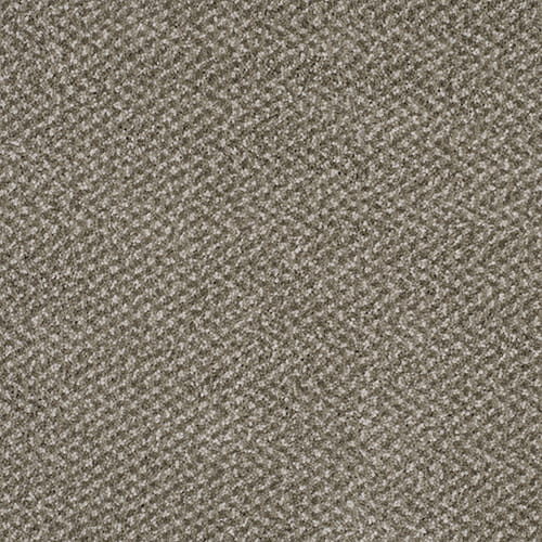 Natural-Impressions---Fresh-Fern