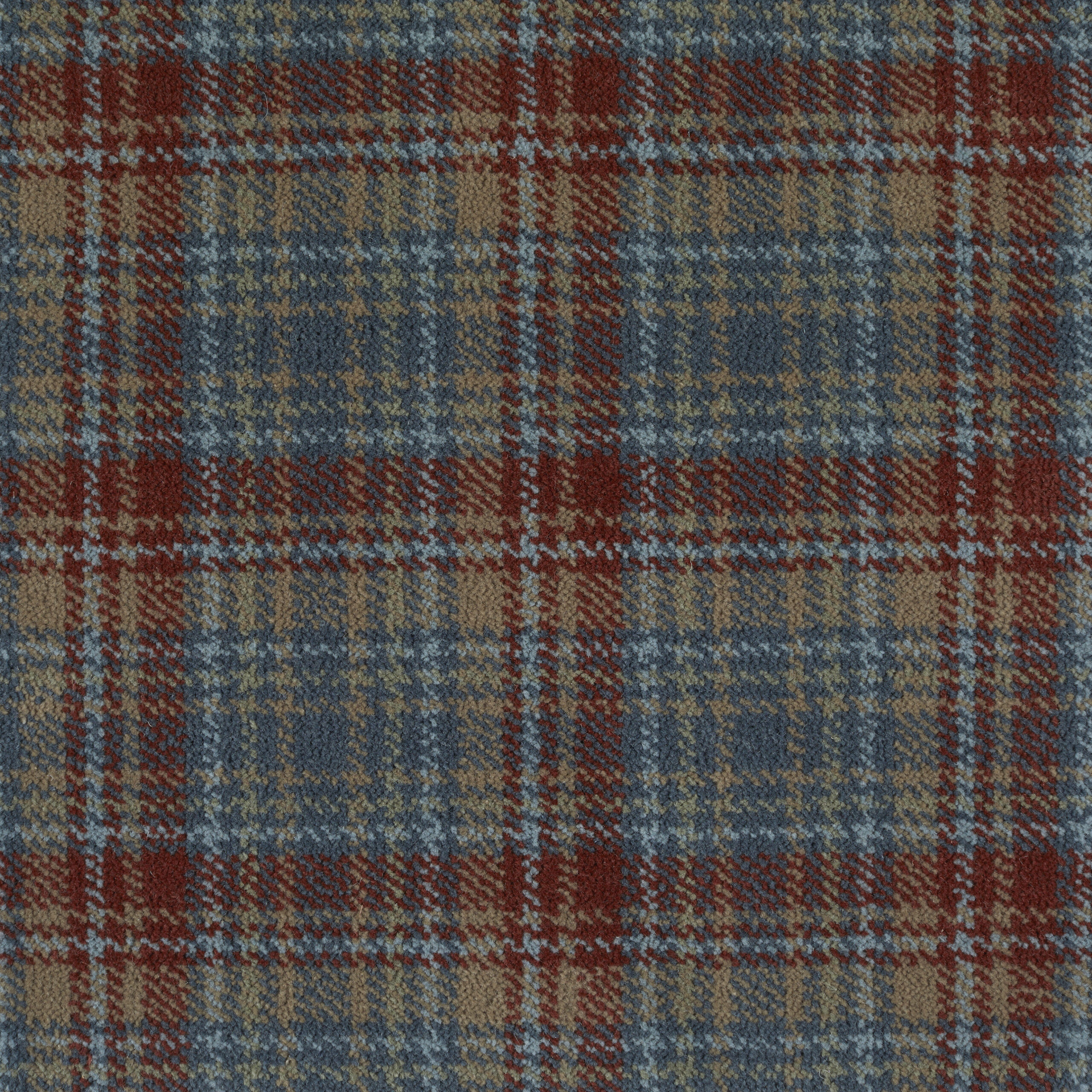 Harrison Tartan Napier