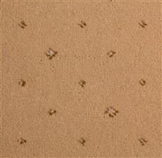 PRINCE BISHOP-SCEPTRE BEIGE