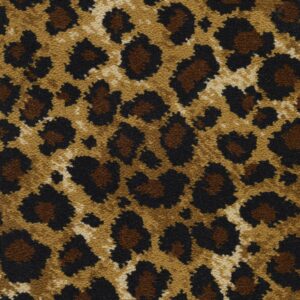 Safari Leopard