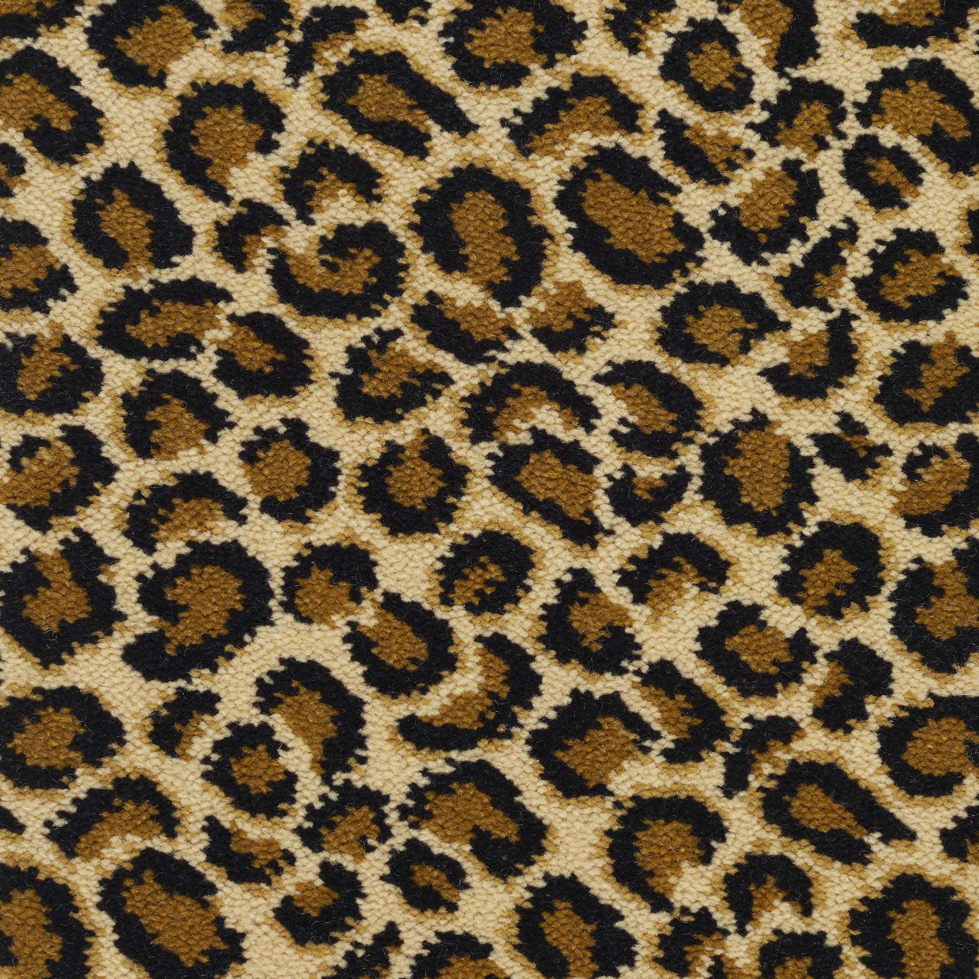 Safari Ocelot