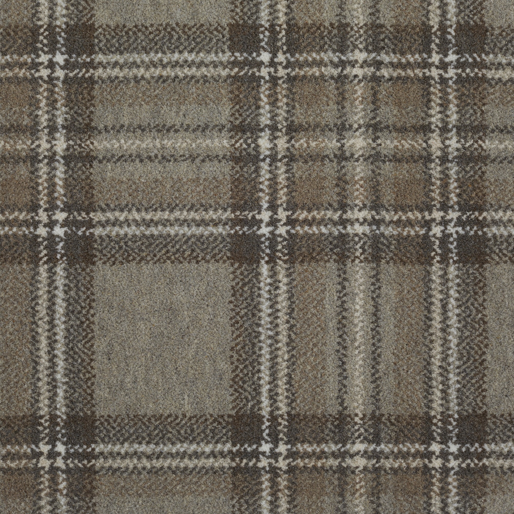 Tartan Ben Lawers