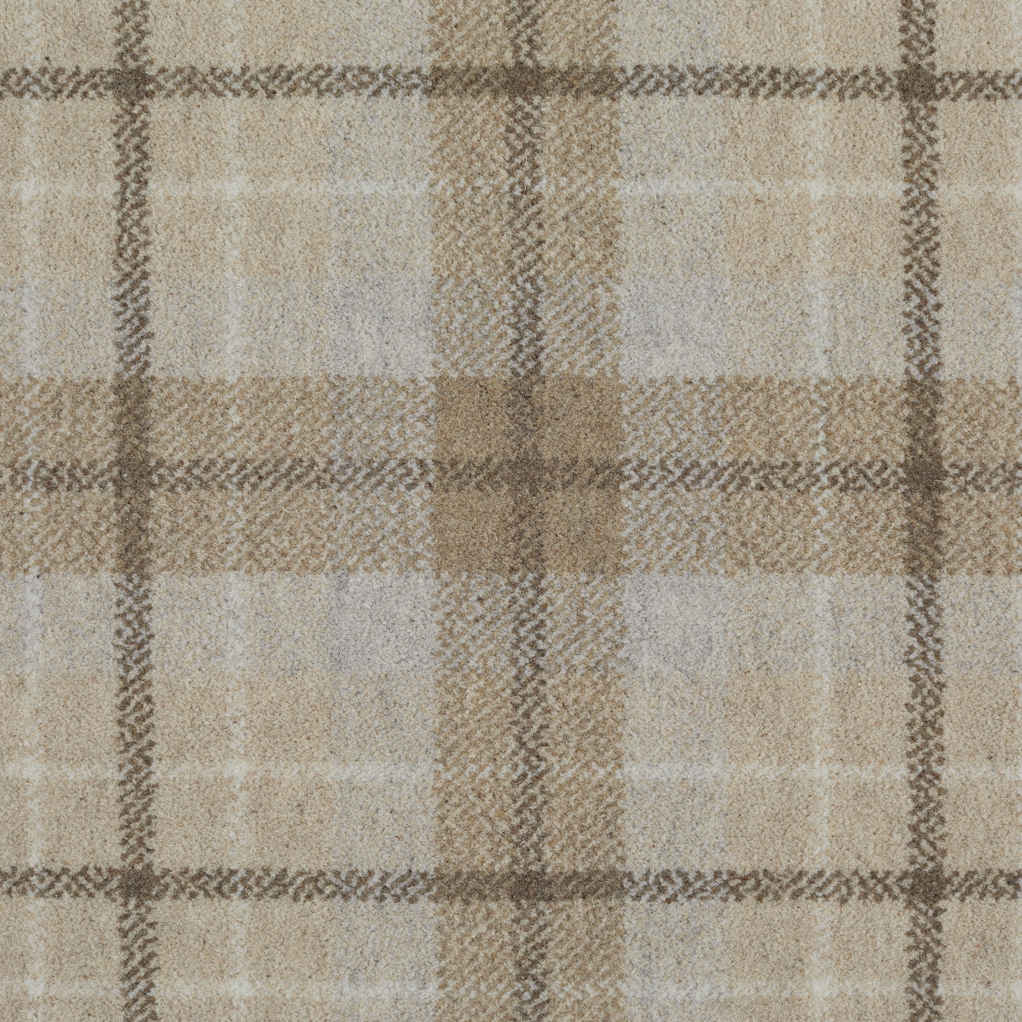 Tartan Maple