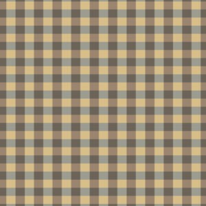 designer-gingham-silver
