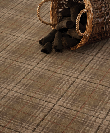Ulster CHC Beaumont Brindle (1)
