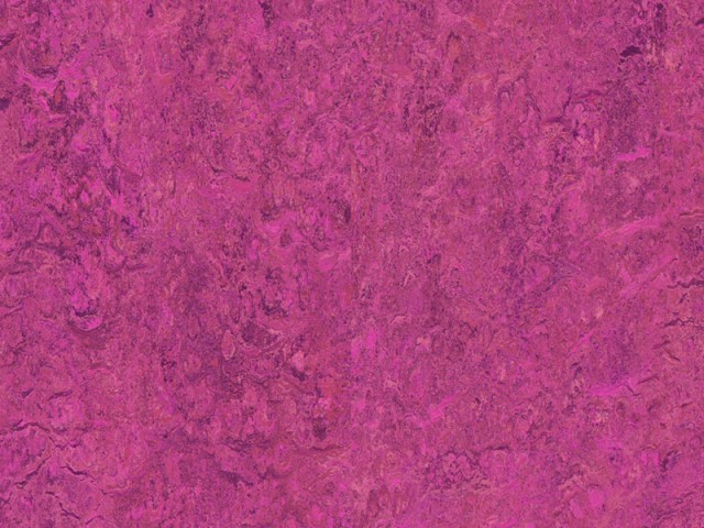 Granorte – Linocork Rose