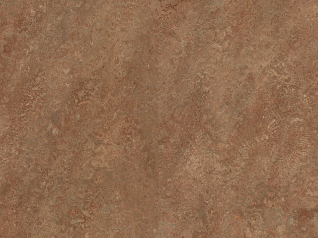 Granorte – Linocork Camel